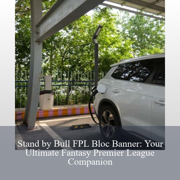 Stand by Bull FPL Bloc Banner: Your Ultimate Fantasy Premier League Companion